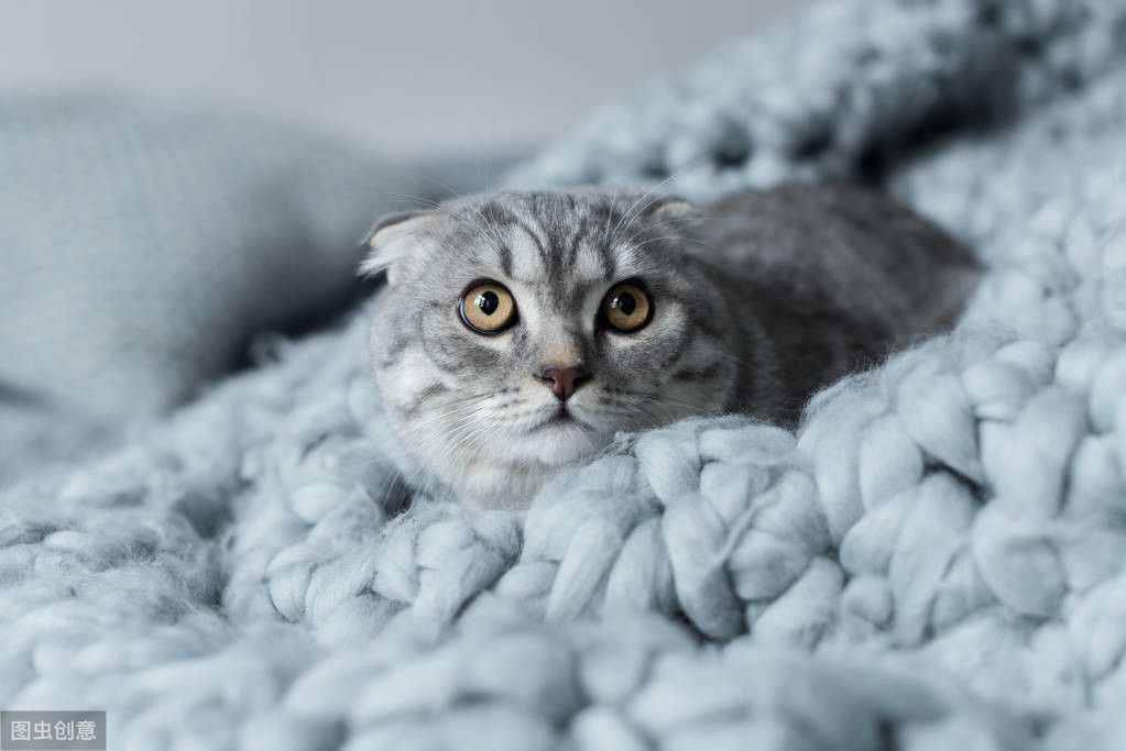 被凍死是怎樣的過程：從瑟瑟發(fā)抖到無意識的赤身躺下？