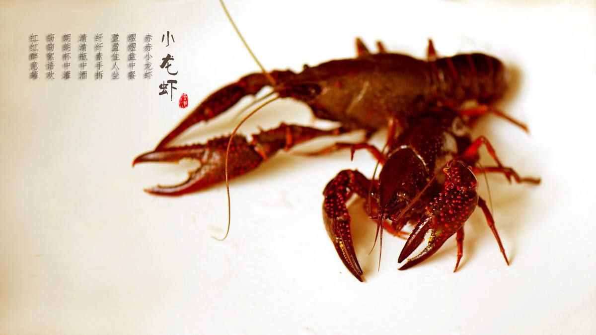 清道夫能吃嗎，我們可以用吃來解決清道夫嗎？
