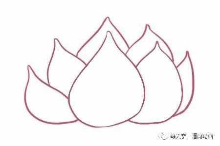 每天學一幅簡筆畫--荷花簡筆畫的畫法步驟