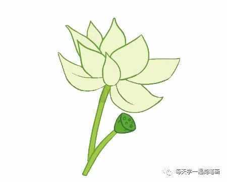 每天學一幅簡筆畫--荷花簡筆畫的畫法步驟