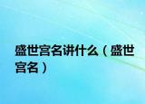 盛世宮名講什么（盛世宮名）