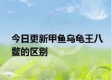 今日更新甲魚烏龜王八鱉的區(qū)別