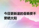今日更新灌的香腸要不要曬太陽
