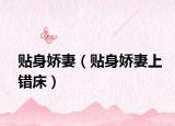 貼身嬌妻（貼身嬌妻上錯床）