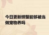 今日更新螃蟹能夠被當(dāng)做寵物養(yǎng)嗎