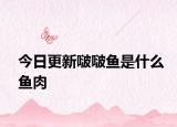今日更新啵啵魚是什么魚肉