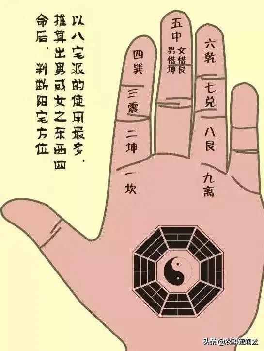 古人“掐指一算”并不神秘，周易的16個(gè)掌訣圖，讓你大開眼界