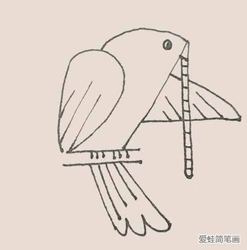 簡筆畫之鴿子