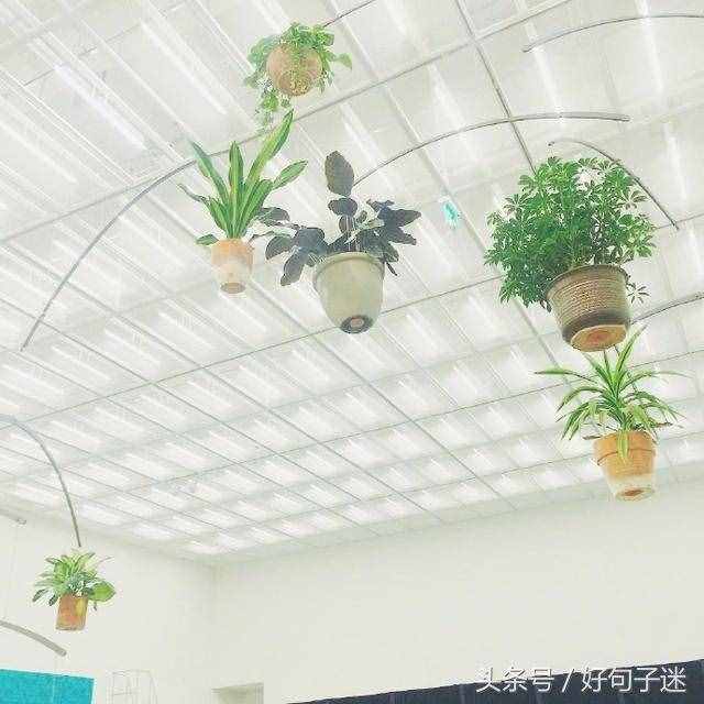 朋友圈里感動到哭的情書大全，句句打動人心！