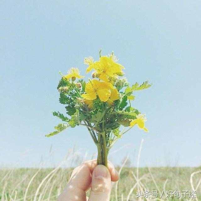 朋友圈里感動到哭的情書大全，句句打動人心！