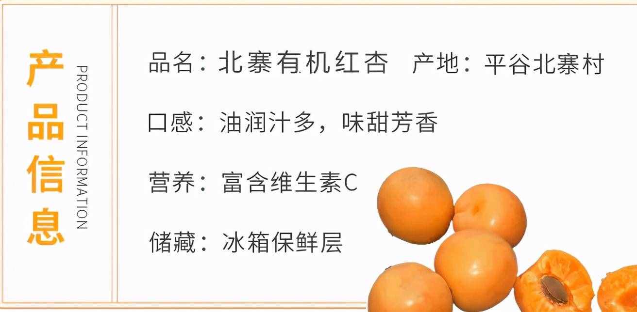 去京郊平谷“杏”福采摘——北寨紅杏熟了！
