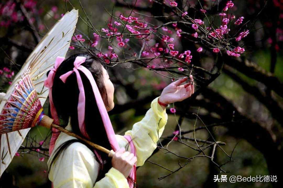 邵康節(jié)和《梅花詩》，預(yù)測后世2000年的發(fā)展，哪些事發(fā)生了？