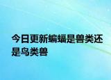今日更新蝙蝠是獸類還是鳥(niǎo)類獸