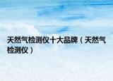 天然氣檢測儀十大品牌（天然氣檢測儀）