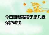 今日更新豬獾子是幾級(jí)保護(hù)動(dòng)物