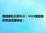 美國客機引擎失火（1029美國客機燃油泄漏事故）
