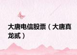 大唐電信股票（大唐真龍貳）