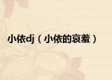 小依dj（小依的哀羞）