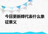 今日更新蟬代表什么象征意義