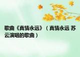 歌曲《真情永遠》（真情永遠 蘇云演唱的歌曲）