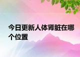 今日更新人體腎臟在哪個(gè)位置