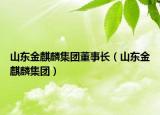 山東金麒麟集團(tuán)董事長（山東金麒麟集團(tuán)）