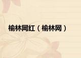 榆林網(wǎng)紅（榆林網(wǎng)）