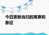 今日更新當(dāng)歸的寓意和象征