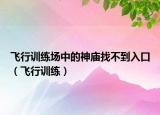 飛行訓(xùn)練場中的神廟找不到入口（飛行訓(xùn)練）