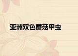 亞洲雙色蘑菇甲蟲