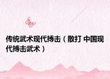 傳統(tǒng)武術(shù)現(xiàn)代搏擊（散打 中國現(xiàn)代搏擊武術(shù)）