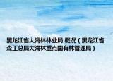 黑龍江省大海林林業(yè)局 概況（黑龍江省森工總局大海林重點(diǎn)國有林管理局）