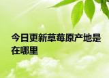 今日更新草莓原產(chǎn)地是在哪里