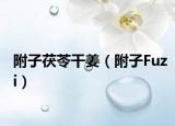 附子茯苓干姜（附子Fuzi）