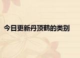 今日更新丹頂鶴的類別