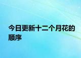 今日更新十二個(gè)月花的順序