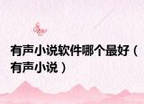 有聲小說軟件哪個(gè)最好（有聲小說）