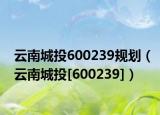 云南城投600239規(guī)劃（云南城投[600239]）