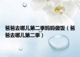 爸爸去哪兒第二季媽媽做飯（爸爸去哪兒第二季）