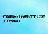 好像是拽公主的候選王子（怎樣王子就拽啊）