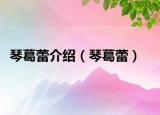 琴葛蕾介紹（琴葛蕾）