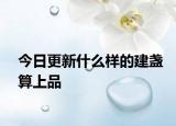 今日更新什么樣的建盞算上品