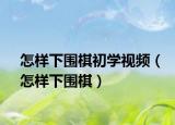 怎樣下圍棋初學(xué)視頻（怎樣下圍棋）
