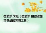 微波爐 烹飪（微波爐 用微波加熱食品的烹調(diào)工具）