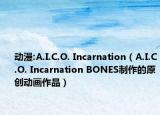 動漫:A.I.C.O. Incarnation（A.I.C.O. Incarnation BONES制作的原創(chuàng)動畫作品）
