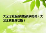 大衛(wèi)比利亞桑切斯真實身高（大衛(wèi)比利亞桑切斯）