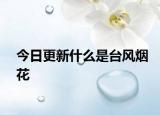今日更新什么是臺風(fēng)煙花