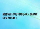 愛你所以歲月可期小說（愛你所以歲月可期）