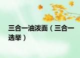 三合一油潑面（三合一選舉）