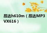 昂達(dá)h610m（昂達(dá)MP3VX616）